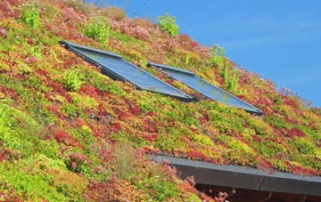Orton Goldhay living roof systems